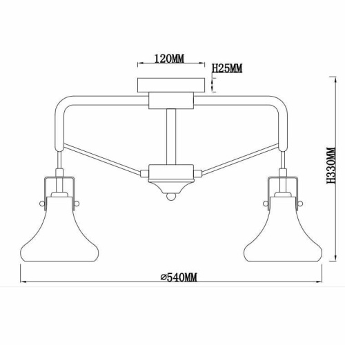 Потолочная люстра Rivoli Scomparsa 3031-303 Б0037675