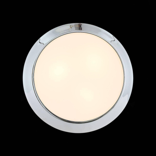 Потолочный светильник ST Luce Bagno SL469.502.02