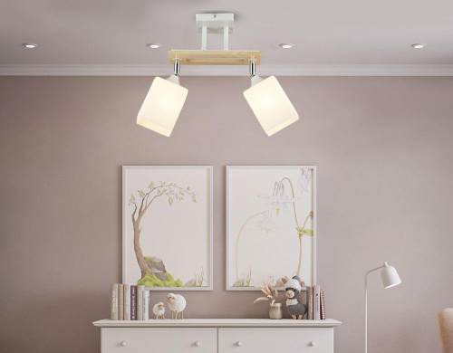 Потолочный светильник Seven Fires Sterr 66769.01.09.02