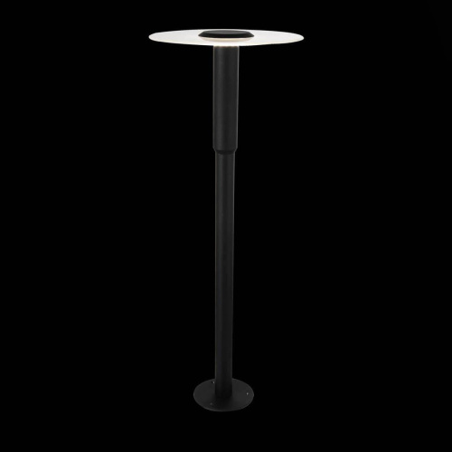 Уличный светодиодный светильник ST Luce SL099.405.01 Уличный светодиодный светильник ST Luce SL099.405.01
