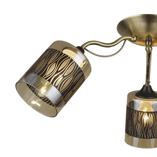 Потолочная люстра Wedo Light Floretta 66611.01.37.03