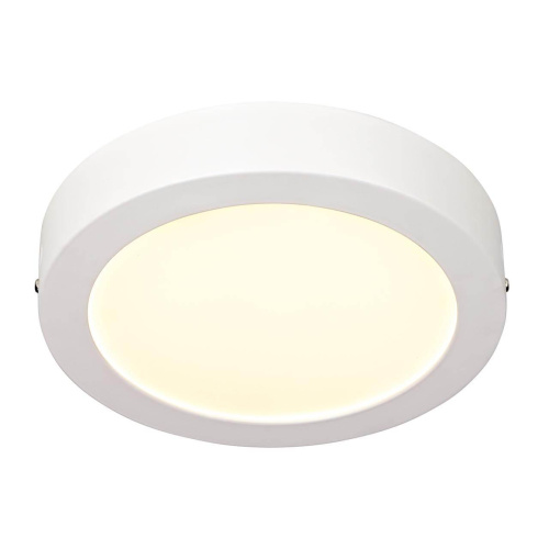 Потолочный светодиодный светильник Markslojd Zola 105955