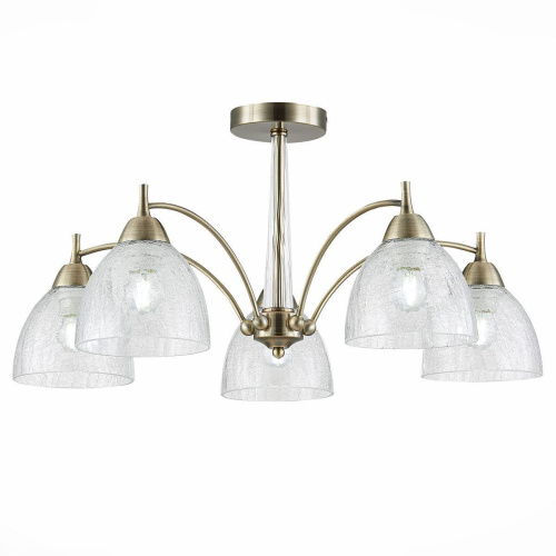 Потолочная люстра Evoluce Nuele SLE104402-05