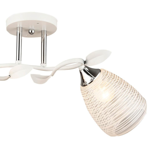 Потолочная люстра Wedo Light Albenga 66423.01.64.02