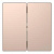 Клавиша двойная Schneider Electric Merten D-Life MTN3400-6051