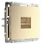 Розетка Werkel Ethernet RJ-45 шампань рифленая WL10-RJ-45 4690389085239