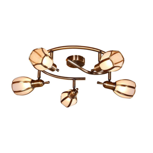 Спот Citilux Альтен-2 CL522651