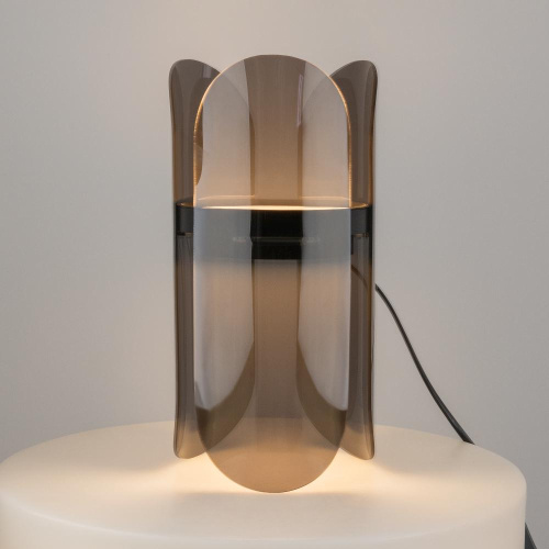 Настольный светильник Maytoni MOD416TL-L6BR3K