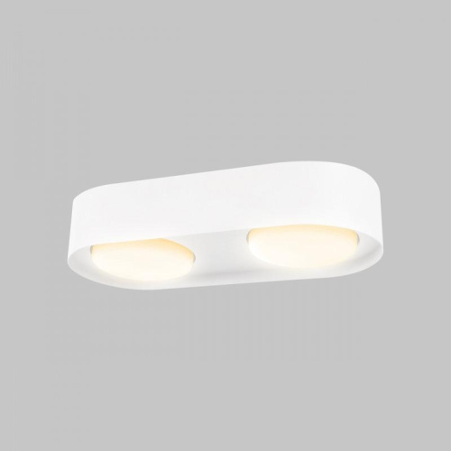 Потолочный светильник IMEX Simple IL.0005.2600-2-WH Потолочный светильник IMEX Simple IL.0005.2600-2-WH