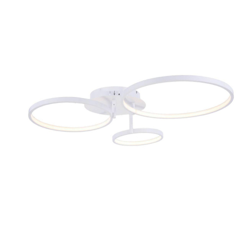 Потолочный светодиодный светильник ST Luce Erto SL904.112.03