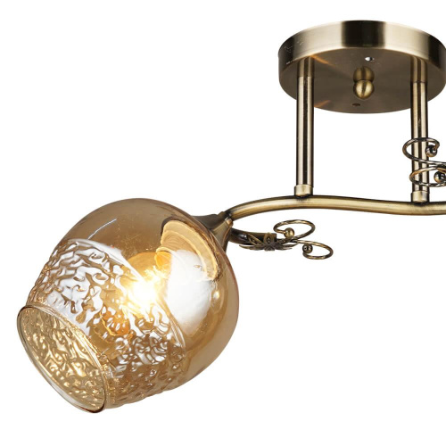 Потолочная люстра Wedo Light Альби 66364.01.05.02