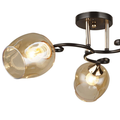 Потолочная люстра Wedo Light Сарнано 66370.01.69.03