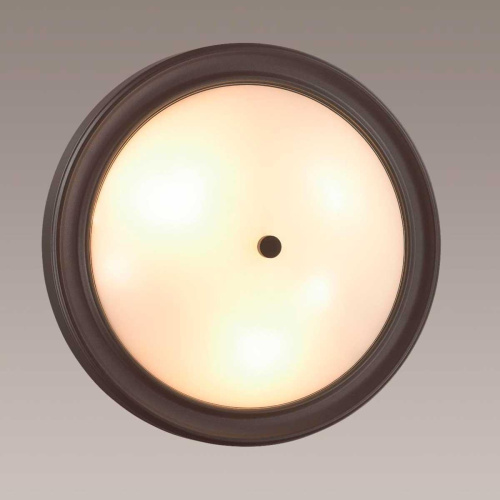 Настенно-потолочный светильник Lumion Vintage Nina 5260/3C