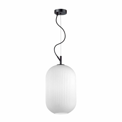 Подвесной светильник Odeon Light Roofi 4752/1