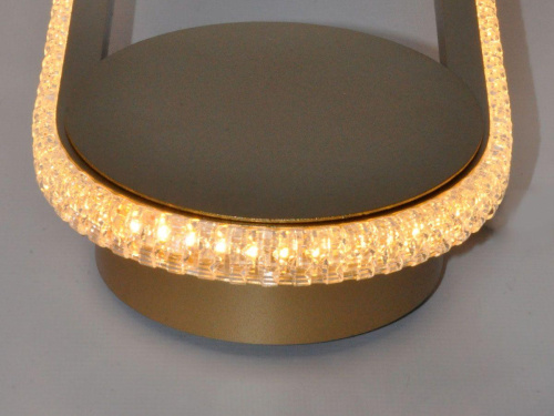 Настенный светодиодный светильник Elvan NLS-5398-10W-WW-Gl