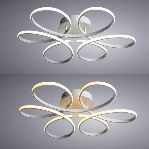 Потолочный светодиодный светильник Arte Lamp Diadema A2526PL-6WH