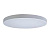 Потолочный светодиодный светильник Loft IT Axel 10002/48 white