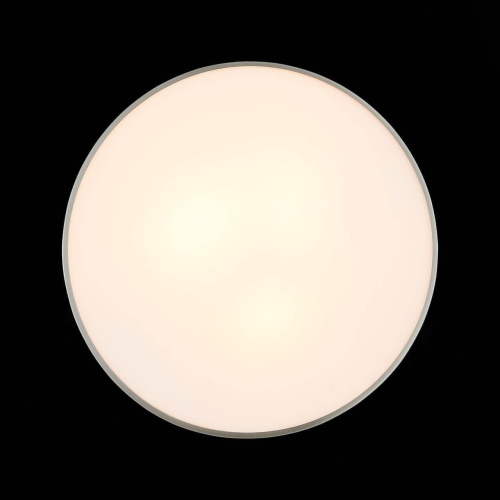 Потолочный светильник ST Luce Bagno SL468.502.03