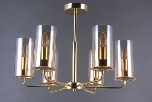 Потолочная люстра Vele Luce Licia VL1924L06