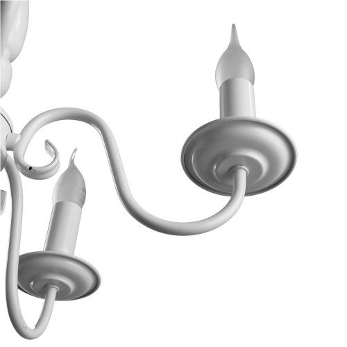 Подвесная люстра Arte Lamp Antwerpen A1029LM-5WC Подвесная люстра Arte Lamp Antwerpen A1029LM-5WC