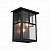 Уличный настенный светильник ST Luce Glazgo SL079.401.03
