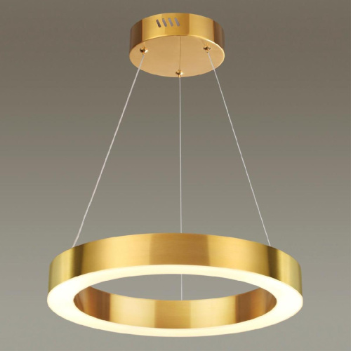 Подвесной светодиодный светильник Odeon Light Brizzi 3885/25LG Подвесной светодиодный светильник Odeon Light Brizzi 3885/25LG
