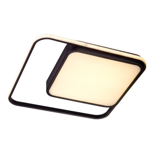 Потолочный светодиодный светильник Escada 10210/2LED Потолочный светодиодный светильник Escada 10210/2LED