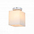 Настенно-потолочный светильник ST Luce Aspetto SL548.501.01