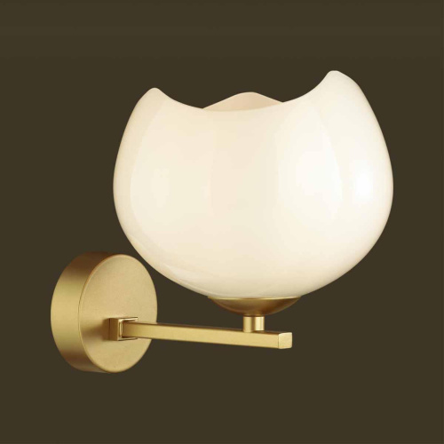 Бра Odeon Light Modern Waterlily 4873/1W Бра Odeon Light Modern Waterlily 4873/1W