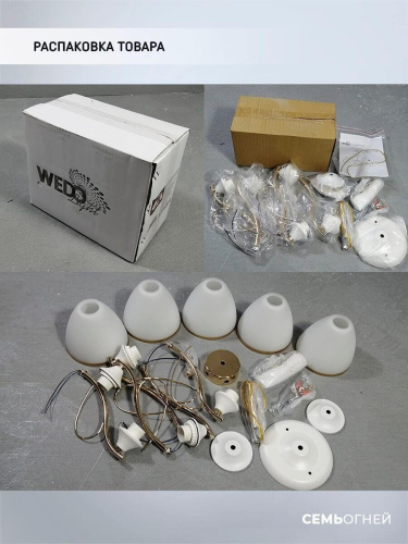 Потолочная люстра Seven Fires Dzintars WD3523/5C-WT-FGD-WT