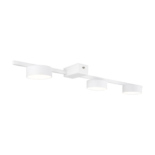 Потолочный светильник Freya FR5363CL-03W Потолочный светильник Freya FR5363CL-03W