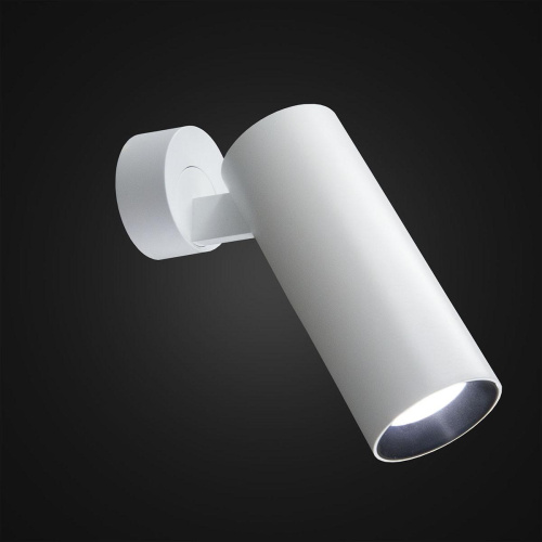 Светодиодный спот Citilux Тубус CL01B120N Светодиодный спот Citilux Тубус CL01B120N