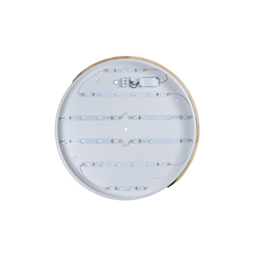 Потолочный светодиодный светильник Loft IT Axel 10004/36 white Потолочный светодиодный светильник Loft IT Axel 10004/36 white
