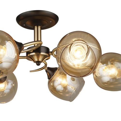 Потолочная люстра Wedo Light Belluno 66426.01.37.06