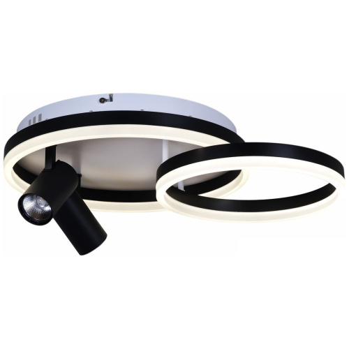 Потолочная светодиодная люстра Reluce 02464-0.3-550