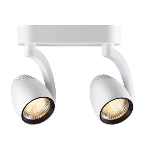 Спот Novotech Zeus 357870