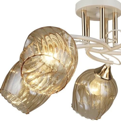 Потолочная люстра Wedo Light Latizana 66601.01.10.05