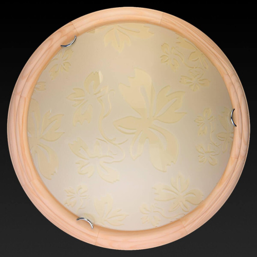 Настенно-потолочный светодиодный светильник Toplight Jane TL9640Y-00PN
