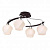 Потолочная люстра Silver Light Aranda 228.59.4