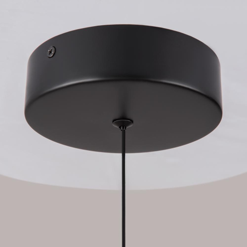 Подвесной светодиодный светильник Maytoni Ray P021PL-L10B