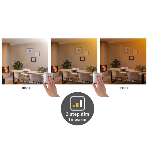 Потолочный светодиодный светильник Paulmann Carpo 79803