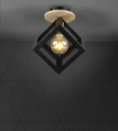 Потолочный светильник Seven Fires Aydana WD3570/1C-BK Потолочный светильник Seven Fires Aydana WD3570/1C-BK