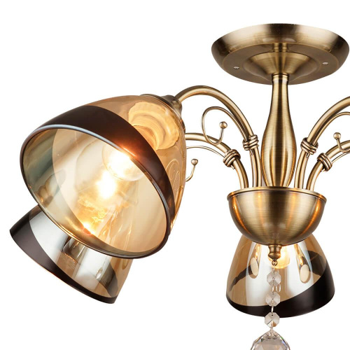 Потолочная люстра Wedo Light Rossano 66415.01.05.05