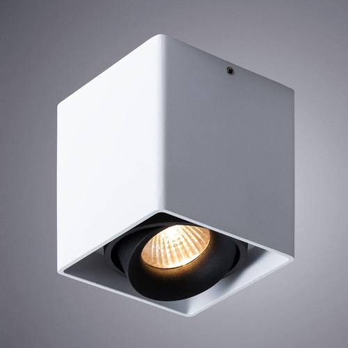 Потолочный светильник Arte Lamp Pictor A5654PL-1WH Потолочный светильник Arte Lamp Pictor A5654PL-1WH