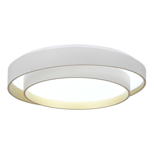 Потолочный светодиодный светильник ST Luce Crosby SLE6009-502-01