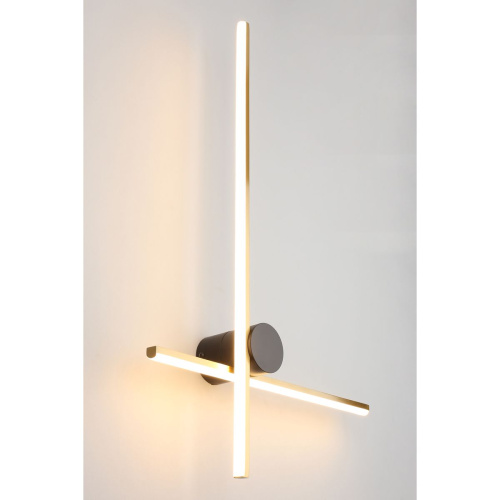 Настенный светодиодный светильник Aployt Beatris APL.056.01.12