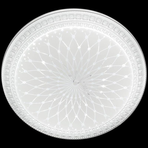 Потолочный светильник Reluce 03638-9.2-60W*2B