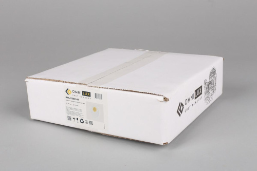 Настенный светодиодный светильник Omnilux Rovereto OML-12201-21