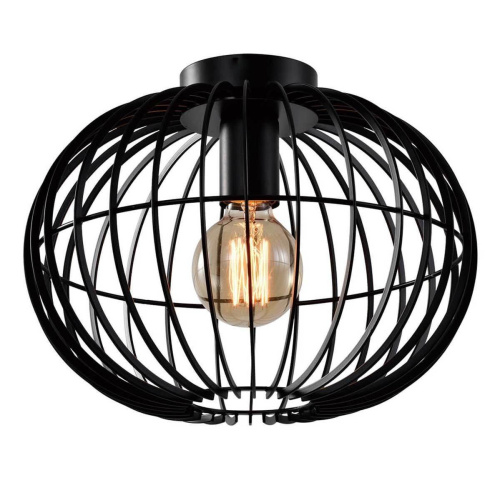 Потолочный светильник Rivoli Livia 5094-201 Б0053053