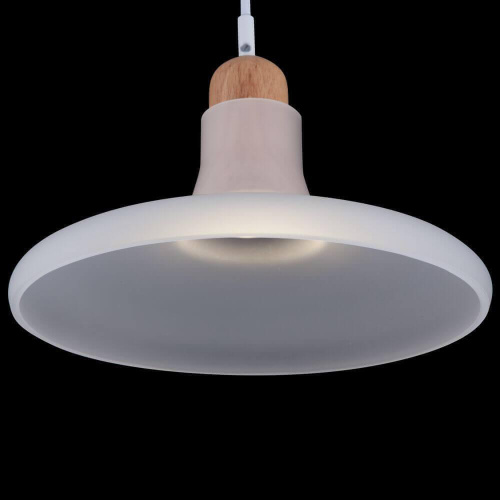 Подвесной светильник Maytoni Ola P017PL-01W